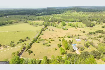 383 Ellerbeetown Road, Thomaston, GA 30286 - Photo 81