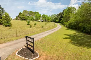 383 Ellerbeetown Rd, Thomaston, GA 30286 - Photo 93