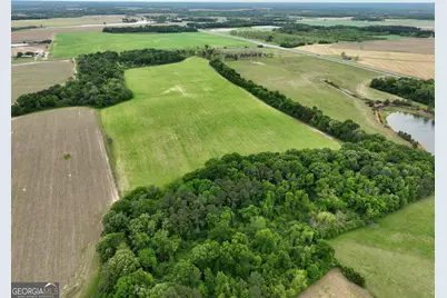 0 Fourteen Lane Road, Hawkinsville, GA 31036 - Photo 15