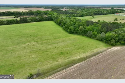0 Fourteen Lane Road, Hawkinsville, GA 31036 - Photo 17