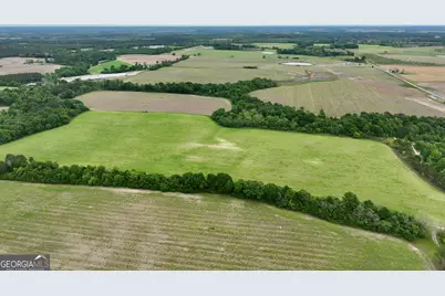 0 Fourteen Lane Road, Hawkinsville, GA 31036 - Photo 11