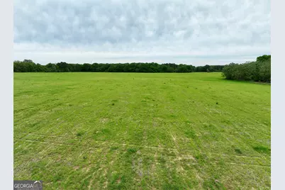 0 Fourteen Lane Road, Hawkinsville, GA 31036 - Photo 19