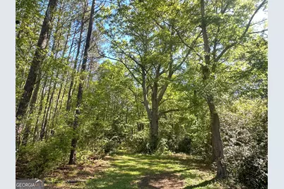 20112 Highway 85, Gay, GA 30218 - Photo 11