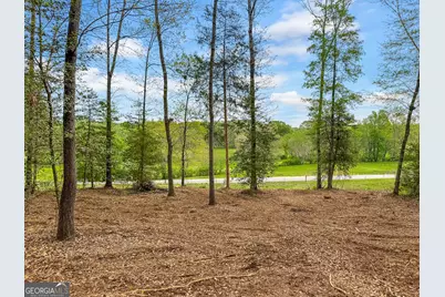 Lot 7 Broad River Rd Road, Eastanollee, GA 30538 - Photo 1