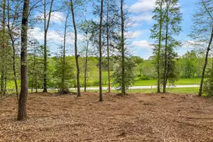 0 Broad River Rd Rd, Eastanollee, GA 30538 - Photo 1