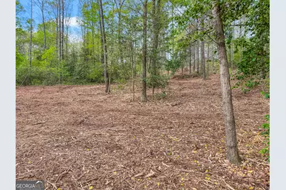 0 Broad River Rd Road, Eastanollee, GA 30538 - Photo 3