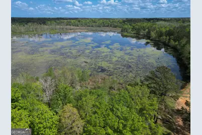 301 Old Windmill Road, Perry, GA 31069 - Photo 93