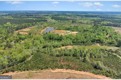 4348 Marshall Stewart Road, Crawfordville, GA 30631 - Photo 75