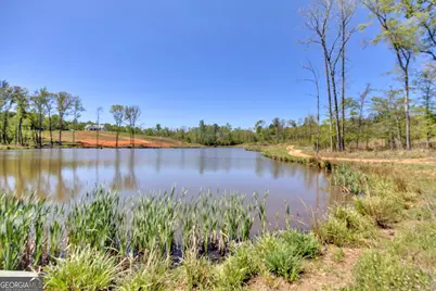 4348 Marshall Stewart Road, Crawfordville, GA 30631 - Photo 59