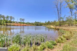 4348 Marshall Stewart Rd, Crawfordville, GA 30631 - Photo 59