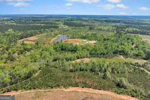 4348 Marshall Stewart Rd, Crawfordville, GA 30631 - Photo 77