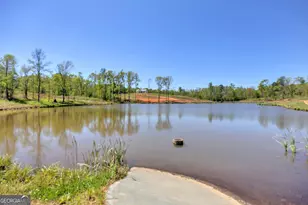 4348 Marshall Stewart Rd, Crawfordville, GA 30631 - Photo 75