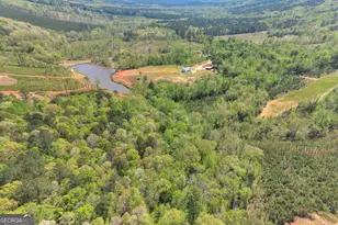 4348 Marshall Stewart Rd, Crawfordville, GA 30631 - Photo 77