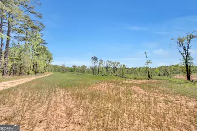 4348 Marshall Stewart Road, Crawfordville, GA 30631 - Photo 69