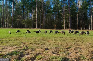 4348 Marshall Stewart Rd, Crawfordville, GA 30631 - Photo 67