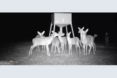 4348 Marshall Stewart Road, Crawfordville, GA 30631 - Photo 55