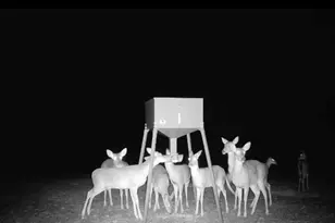 4348 Marshall Stewart Rd, Crawfordville, GA 30631 - Photo 55