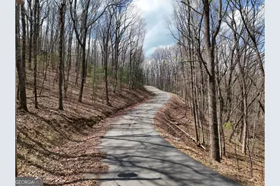 L129/124 Laurel Crossing, Blue Ridge, GA 30513 - Photo 3