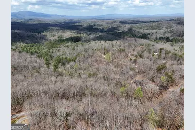 L129/124 Laurel Crossing, Blue Ridge, GA 30513 - Photo 23