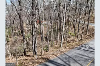 L129/124 Laurel Crossing, Blue Ridge, GA 30513 - Photo 7