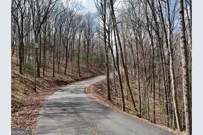 L129/124 Laurel Crossing, Blue Ridge, GA 30513 - Photo 9