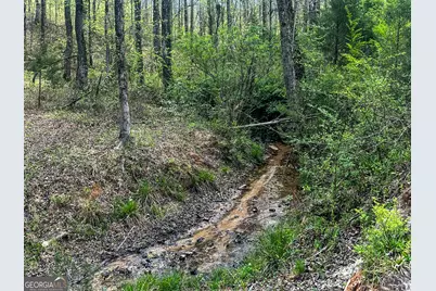 Lot 4 Gooseneck Road, Eastanollee, GA 30538 - Photo 5