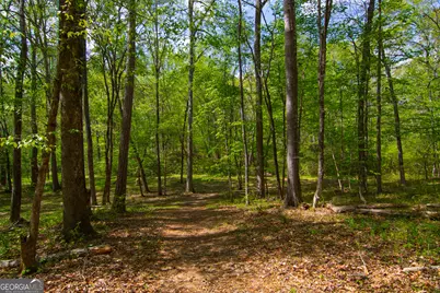 476 Wildwood Plantation Drive, Cataula, GA 31804 - Photo 65