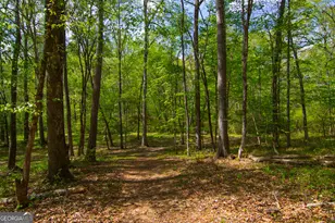 476 Wildwood Plantation Dr, Cataula, GA 31804 - Photo 65