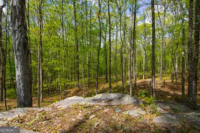 476 Wildwood Plantation Drive, Cataula, GA 31804 - Photo 55