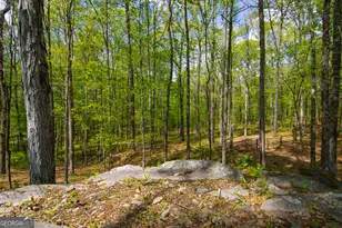 476 Wildwood Plantation Dr, Cataula, GA 31804 - Photo 55