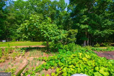 476 Wildwood Plantation Drive, Cataula, GA 31804 - Photo 49