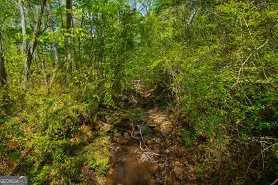 476 Wildwood Plantation Drive, Cataula, GA 31804 - Photo 61