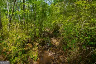 476 Wildwood Plantation Dr, Cataula, GA 31804 - Photo 61