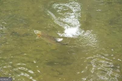 Lot 19 Soque Circle, Clarkesville, GA 30523 - Photo 15