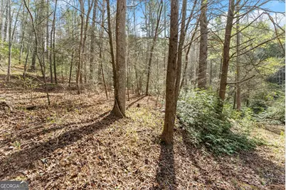 Lot 19 Soque Circle, Clarkesville, GA 30523 - Photo 33