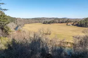 517 Ridge Rd, Blue Ridge, GA 30513 - Photo 53