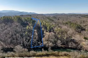 517 Ridge Rd, Blue Ridge, GA 30513 - Photo 55