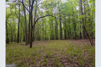 V/L Georgia Kaolin Road, Dry Branch, GA 31020 - Photo 3