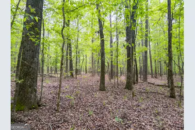 V/L Georgia Kaolin Road, Dry Branch, GA 31020 - Photo 15