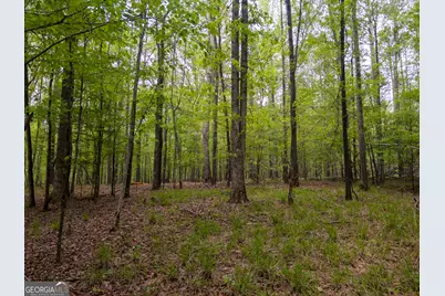 V/L Georgia Kaolin Road, Dry Branch, GA 31020 - Photo 5