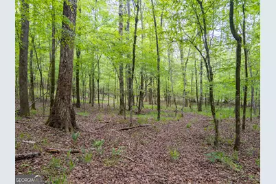 V/L Georgia Kaolin Road, Dry Branch, GA 31020 - Photo 13