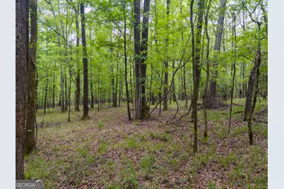 V/L Georgia Kaolin Road, Dry Branch, GA 31020 - Photo 19