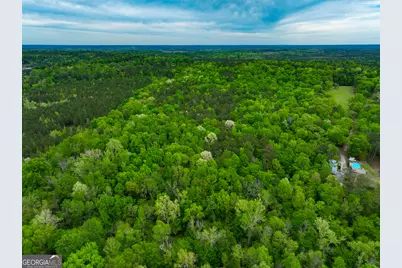 V/L Georgia Kaolin Road, Dry Branch, GA 31020 - Photo 21