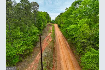 V/L Georgia Kaolin Road, Dry Branch, GA 31020 - Photo 7