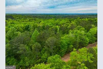 V/L Georgia Kaolin Road, Dry Branch, GA 31020 - Photo 9