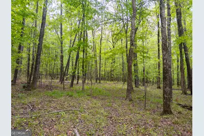 V/L Georgia Kaolin Road, Dry Branch, GA 31020 - Photo 23