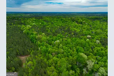 V/L Georgia Kaolin Road, Dry Branch, GA 31020 - Photo 17