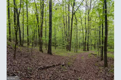 V/L Georgia Kaolin Road, Dry Branch, GA 31020 - Photo 1