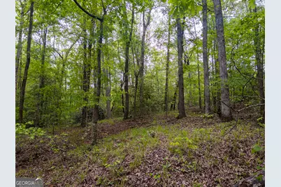 V/L Georgia Kaolin Road, Dry Branch, GA 31020 - Photo 11