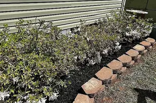 35 Hillandale St, Newnan, GA 30263 - Photo 33